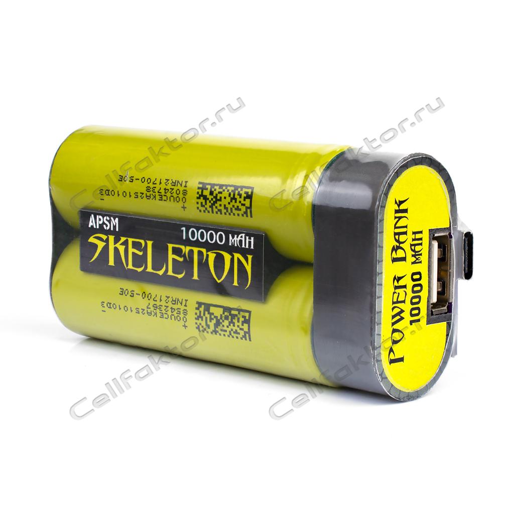 Модуль автономного питания APSM Skeleton 1S2P 10000mAh Power Bank купить в интернет-магазине СеллФактор с доставкой по России